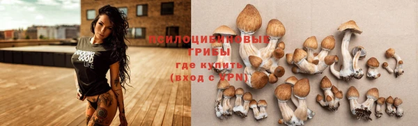 дживик Дмитровск