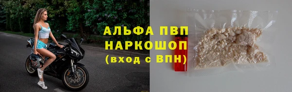 ПСИЛОЦИБИНОВЫЕ ГРИБЫ Заводоуковск