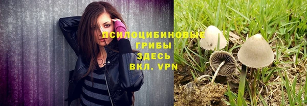 прущая мука Дмитров