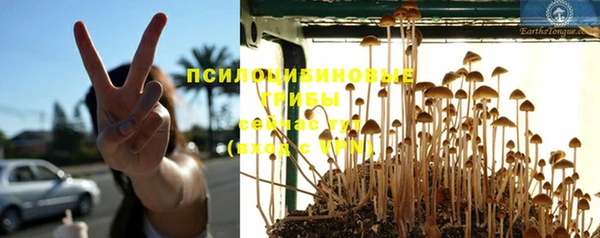 прущая мука Дмитров