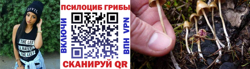 Псилоцибиновые грибы GOLDEN TEACHER даркнет состав Янаул